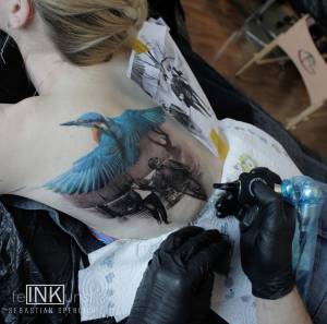 Rücken Tattoo Eisvogel